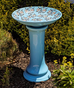 24 inch tall glossy baby blue porcelain pedestal birdbath with painted cherry blossoms on the inner basin in garden