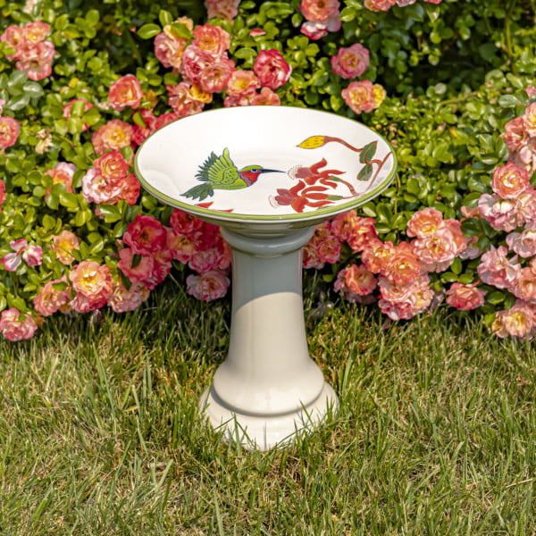 15 tall round porcelain pedestal birdbath in white with Hummingbird and Flowers Walela in front of rose bush
