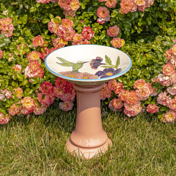 15 inch tall round porcelain pedestal birdbath in peach with hand painted hummingbird and large flower blossoms “Hadley” in front of rose bush