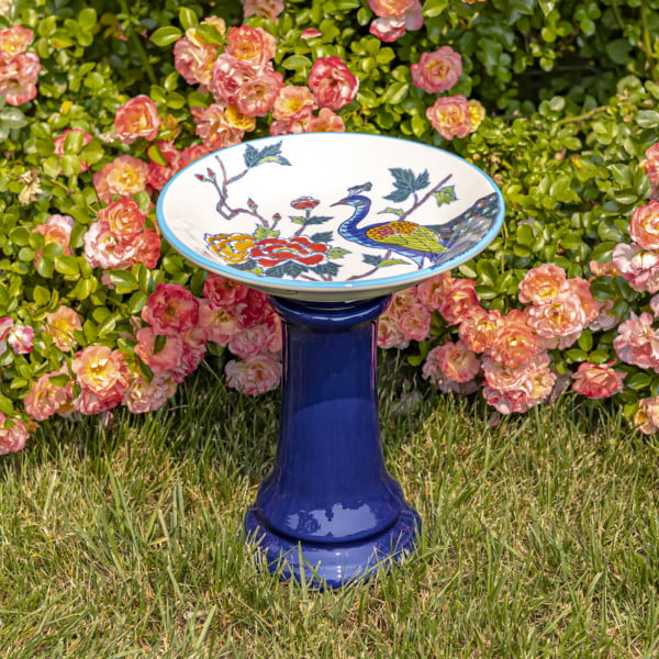 15 Inches tall porcelain birdbath with blue stand an hand painted peacock and flowers Indigo in front of rose bush
