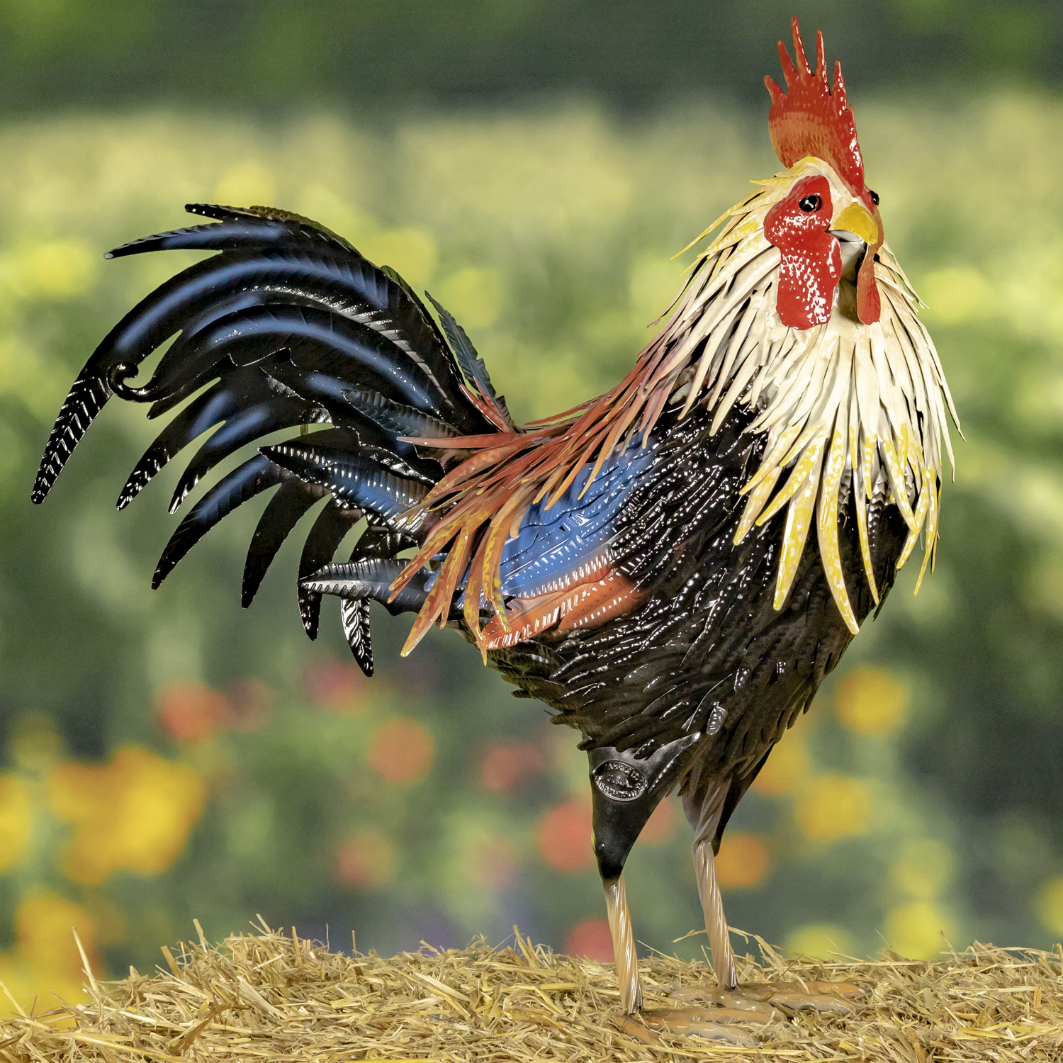 Tall painted iron Rooster figurine with yellow and white feathers around his neck standing on his two feet with black and blue sickle feathers and red bright comb on his head