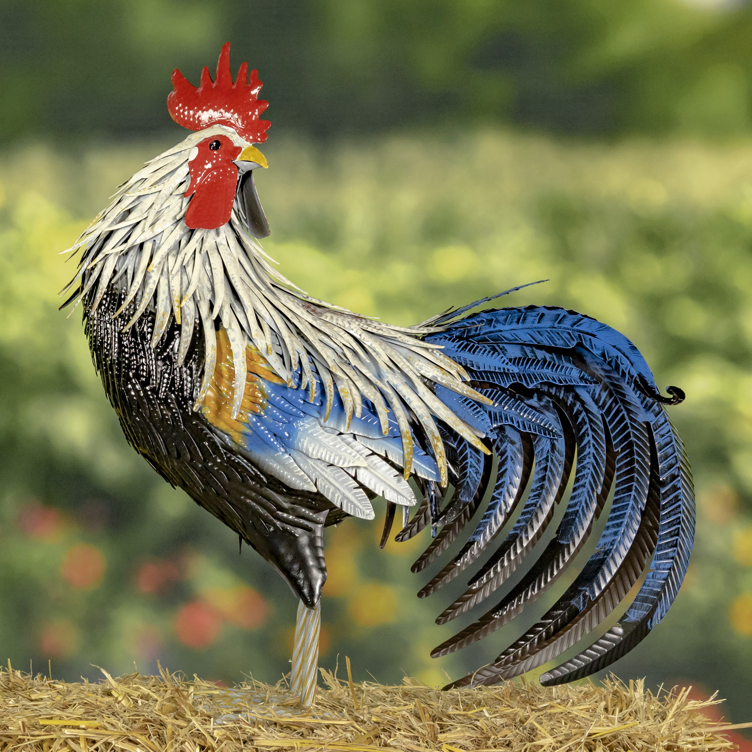 Tall painted iron rooster looking back with his blue sickle feathers curled behind him standing on hay