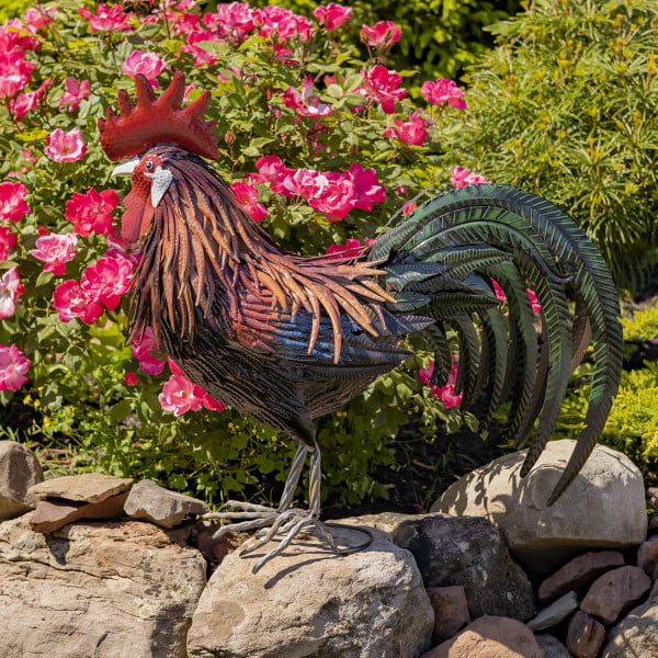 left side of 2.4 feet tall large painted iron rooster with red comb on his head, orange and brown feathers flowing down his back and green and black sickle feathers standing on rocks