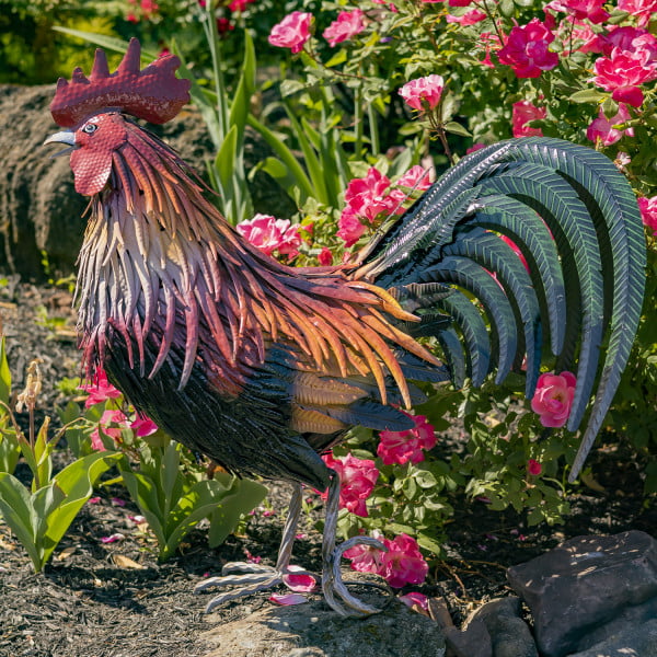 left side of 2.3 feet tall painted Iron Rooster figurine with red comb on his head with orange, yellow and white feathers running down his back and dark green sickle feathers behind him standing on one feet with the other feet slightly off the ground