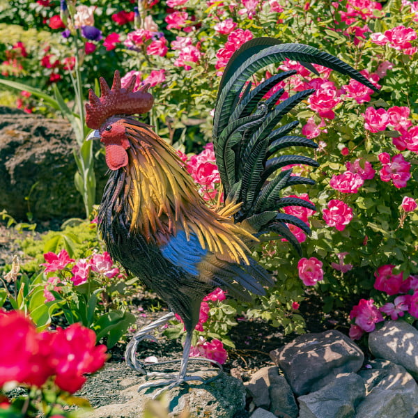 left side of 2.4 feet Tall painted iron Rooster figurine with bright red comb on his head, dark green and black feathers behind him while he is standing with one of his feet slightly of the ground in garden