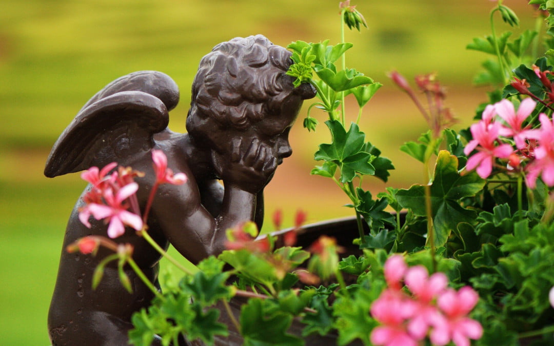 9 Unique Garden Accents to Elevate Your Outdoor Space
