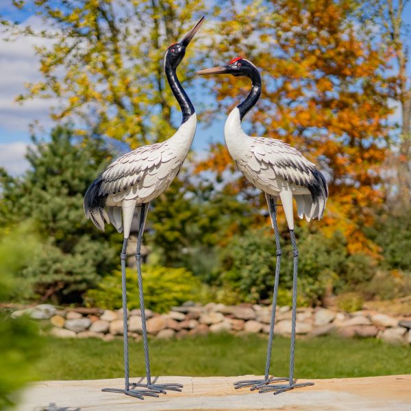 pair of 2 54 inch tall black-necked white crane metal garden figurines, standing in beautiful fall garden