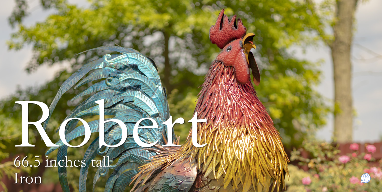 Robert the rooster