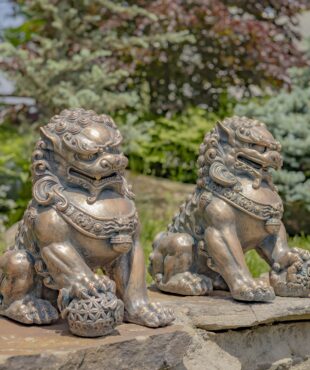 set of 2 16 inch tall Fu Dog Sentry Statues in antique bronze finish standing in garden