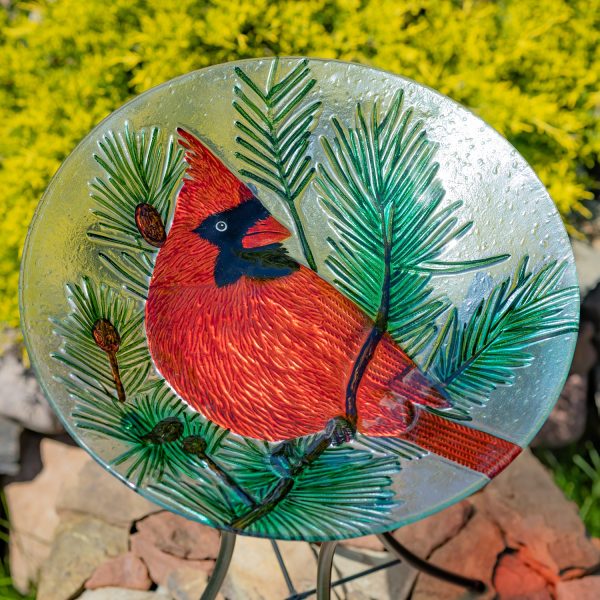 18" Glass Bowl Cardinal Birdbath with Metal Stand "Kentucky"