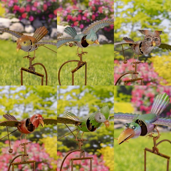 an assortment of various bird species that can be found round the world.