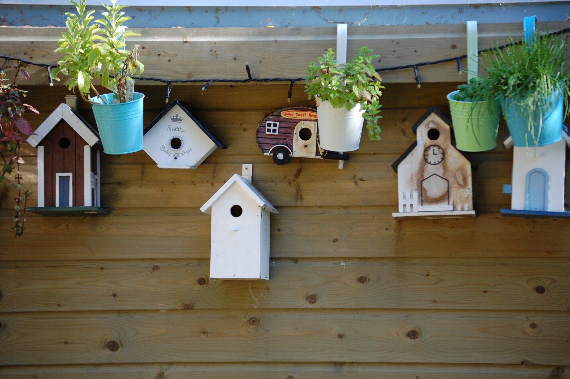 birdhouse design