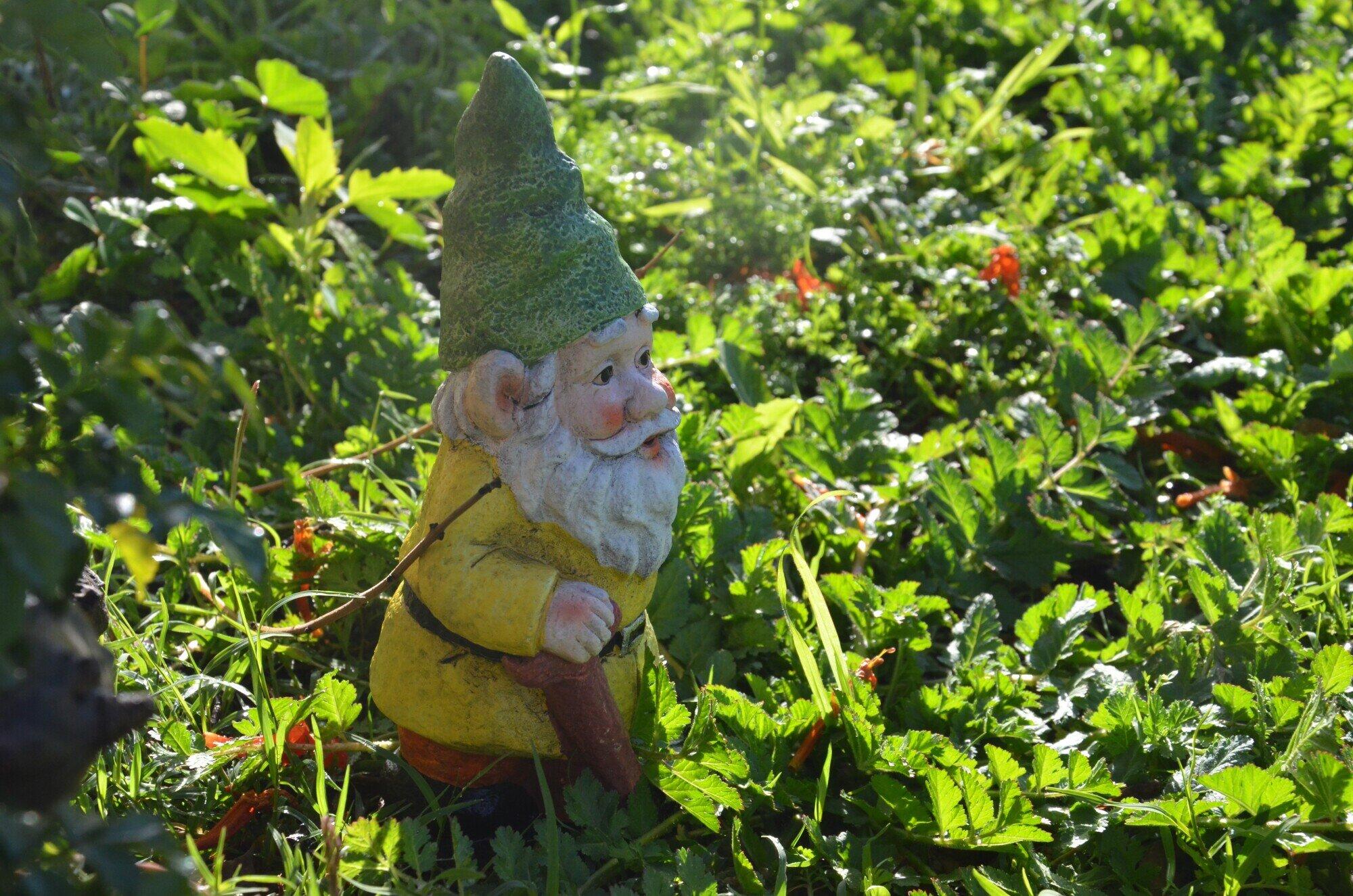 christmas yard gnome