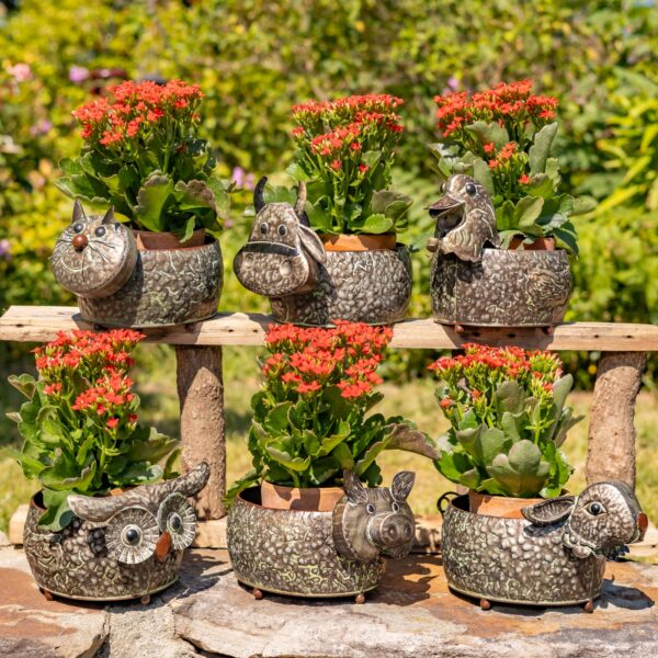 Set of 6 Assorted Animal Galvanized Flower Pots
