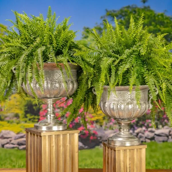 Frosted Silver Metal Urn "Bacchus" - 2 Size Options