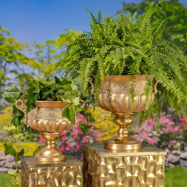 Frosted Gold Metal Urn "Veritas" - 2 Size Options